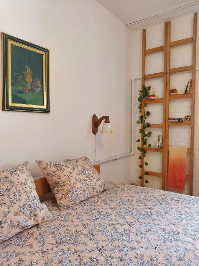 Sunshine House Βίλα Pančevo Εξωτερικό φωτογραφία