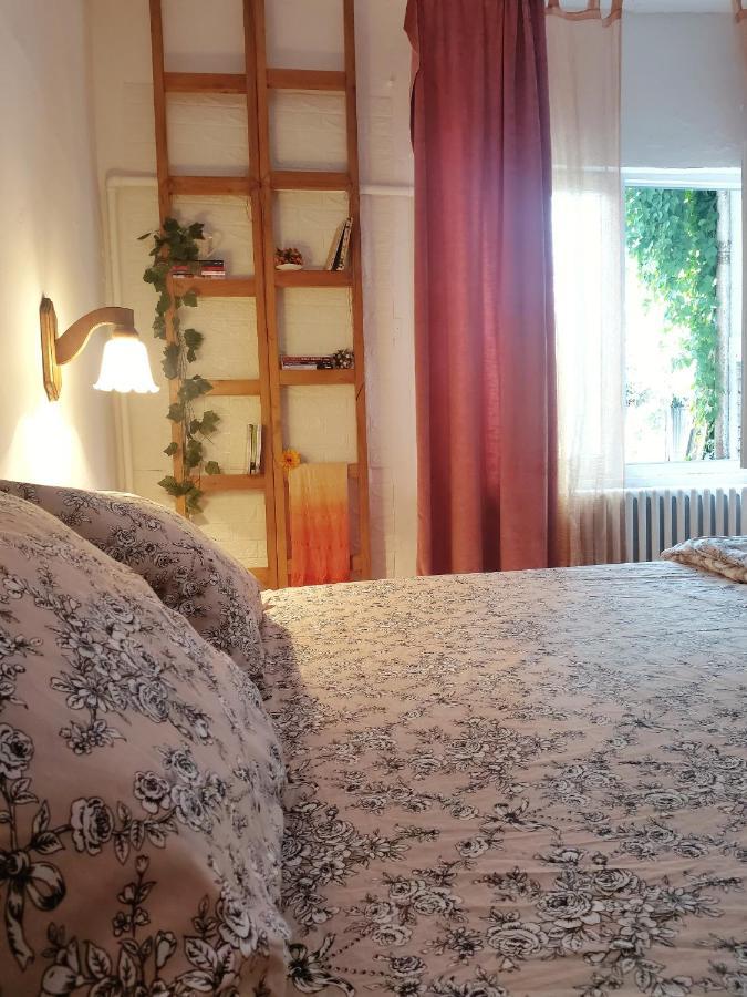 Sunshine House Βίλα Pančevo Εξωτερικό φωτογραφία