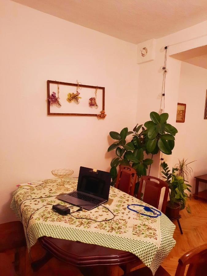 Sunshine House Βίλα Pančevo Εξωτερικό φωτογραφία