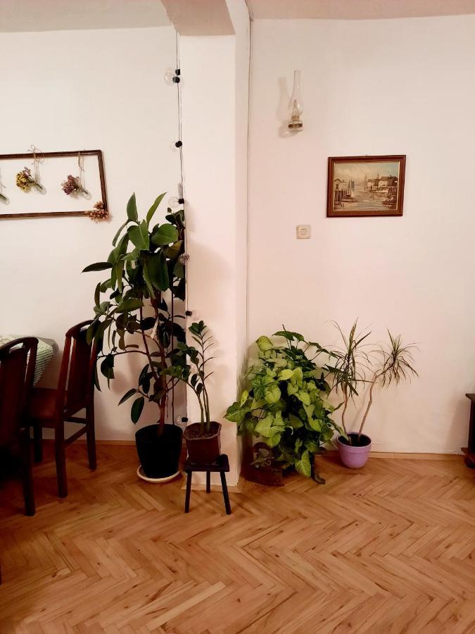 Sunshine House Βίλα Pančevo Εξωτερικό φωτογραφία