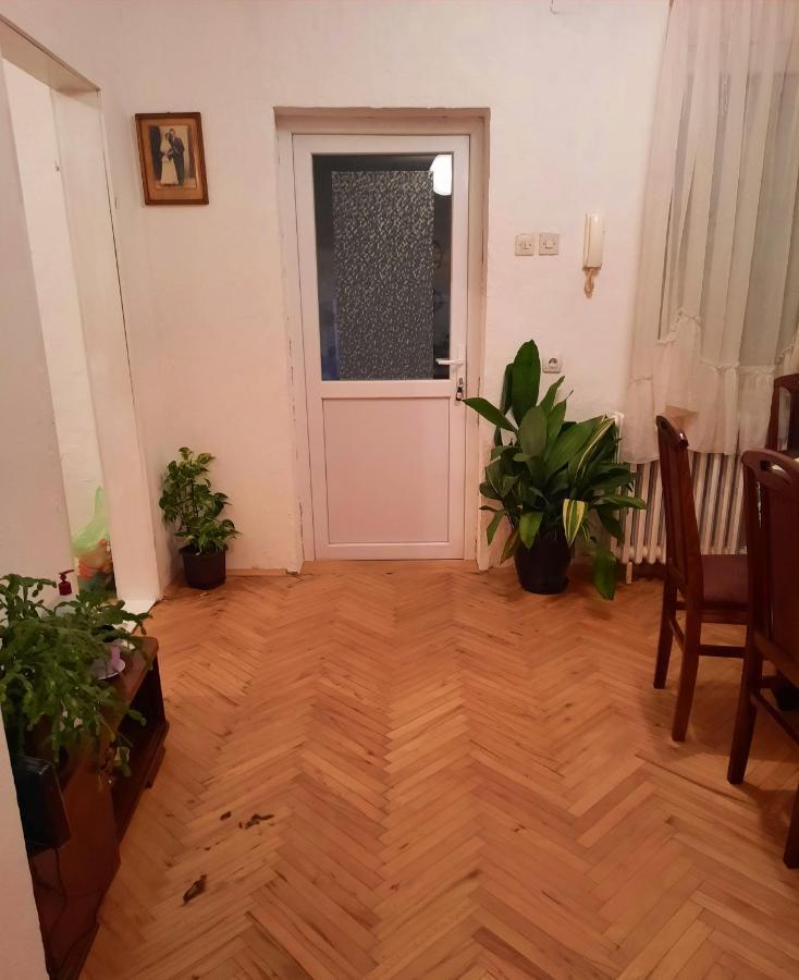 Sunshine House Βίλα Pančevo Εξωτερικό φωτογραφία