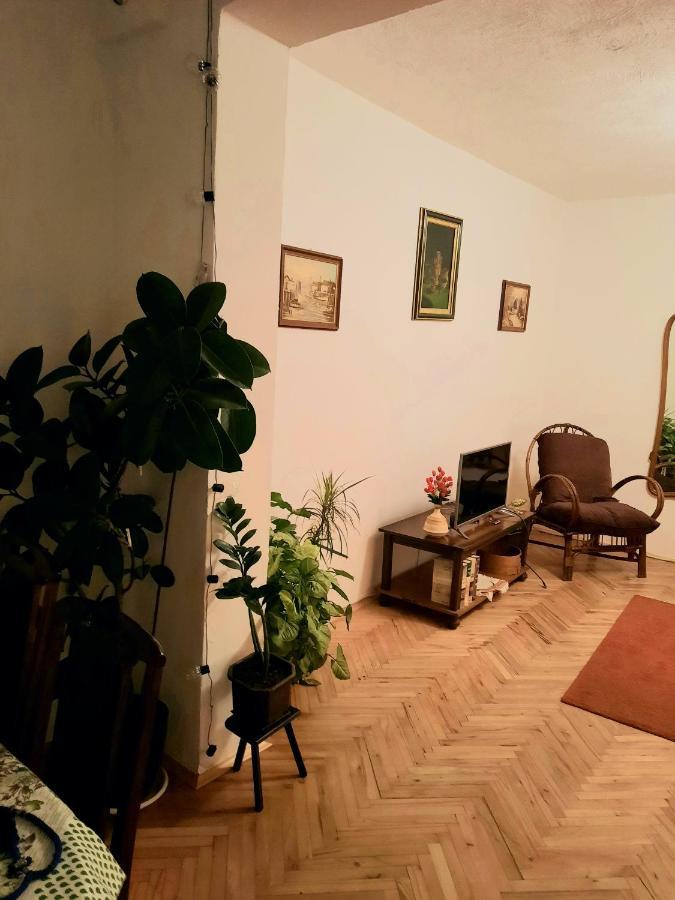 Sunshine House Βίλα Pančevo Εξωτερικό φωτογραφία